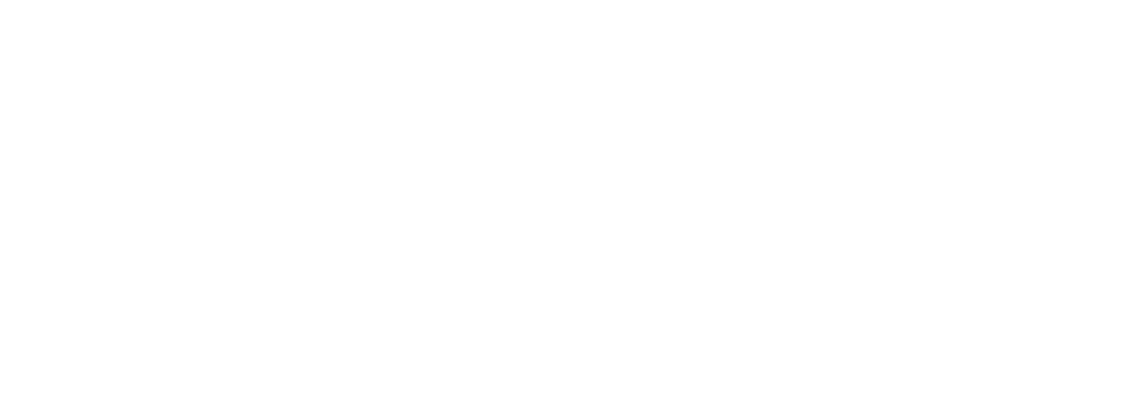 Learn to Skate USA eLearning